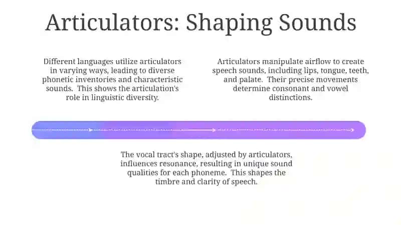 The organs of speech and their work 4