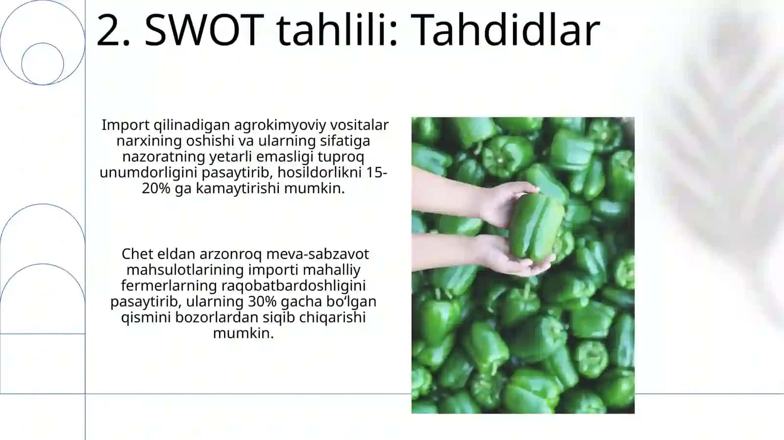 O'zbekistonda meva va sabzavotchilik va Swot tahlili 4