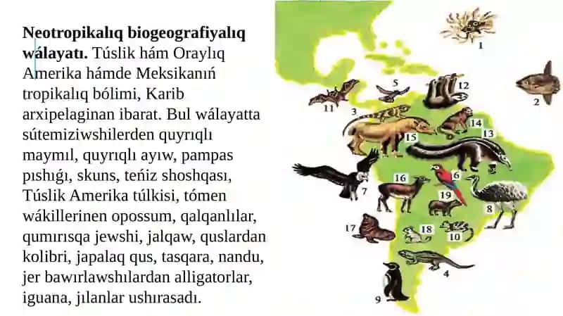 EVOLYUCIYANI DALILLEWDE BIOGEOGRAFIYAPANI DALILLERI 4