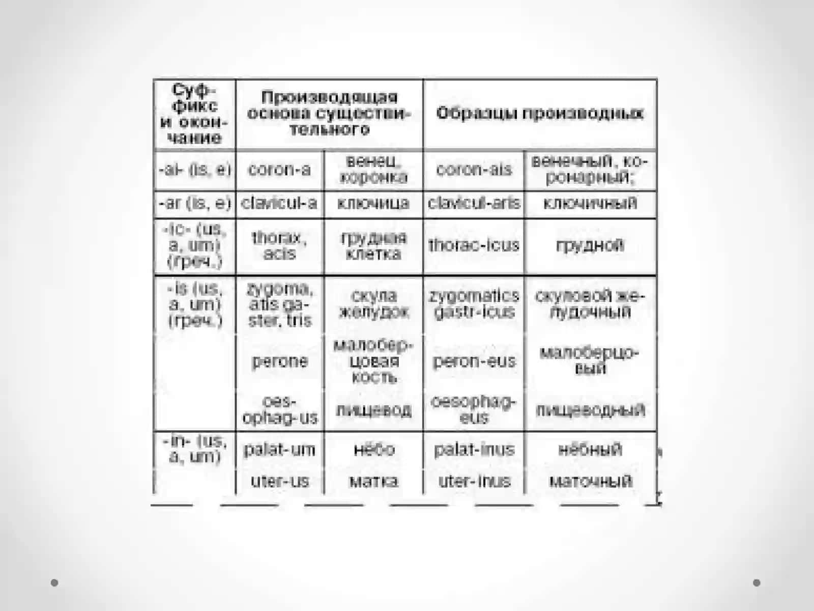 Yunon va Lotin dubletlari 4