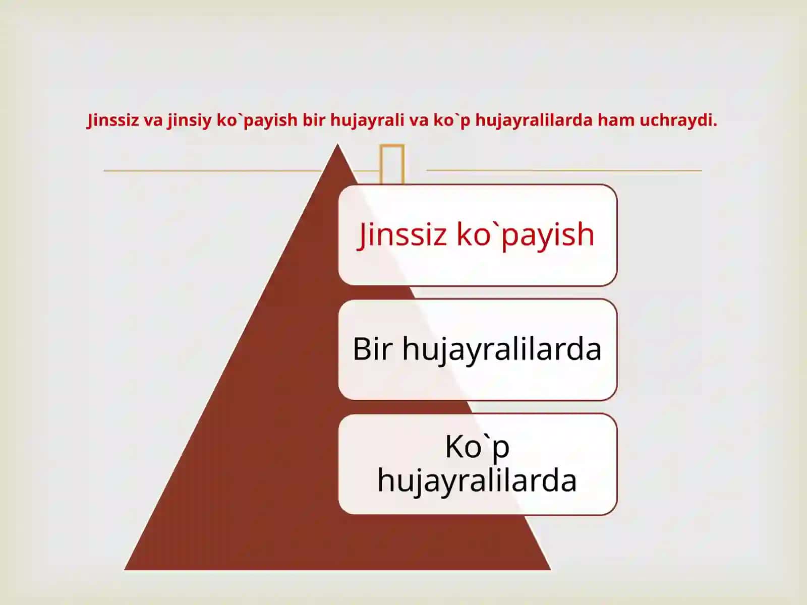 BIOLOGIYA YO’NALISHI MUSTAQIL ISHI 4
