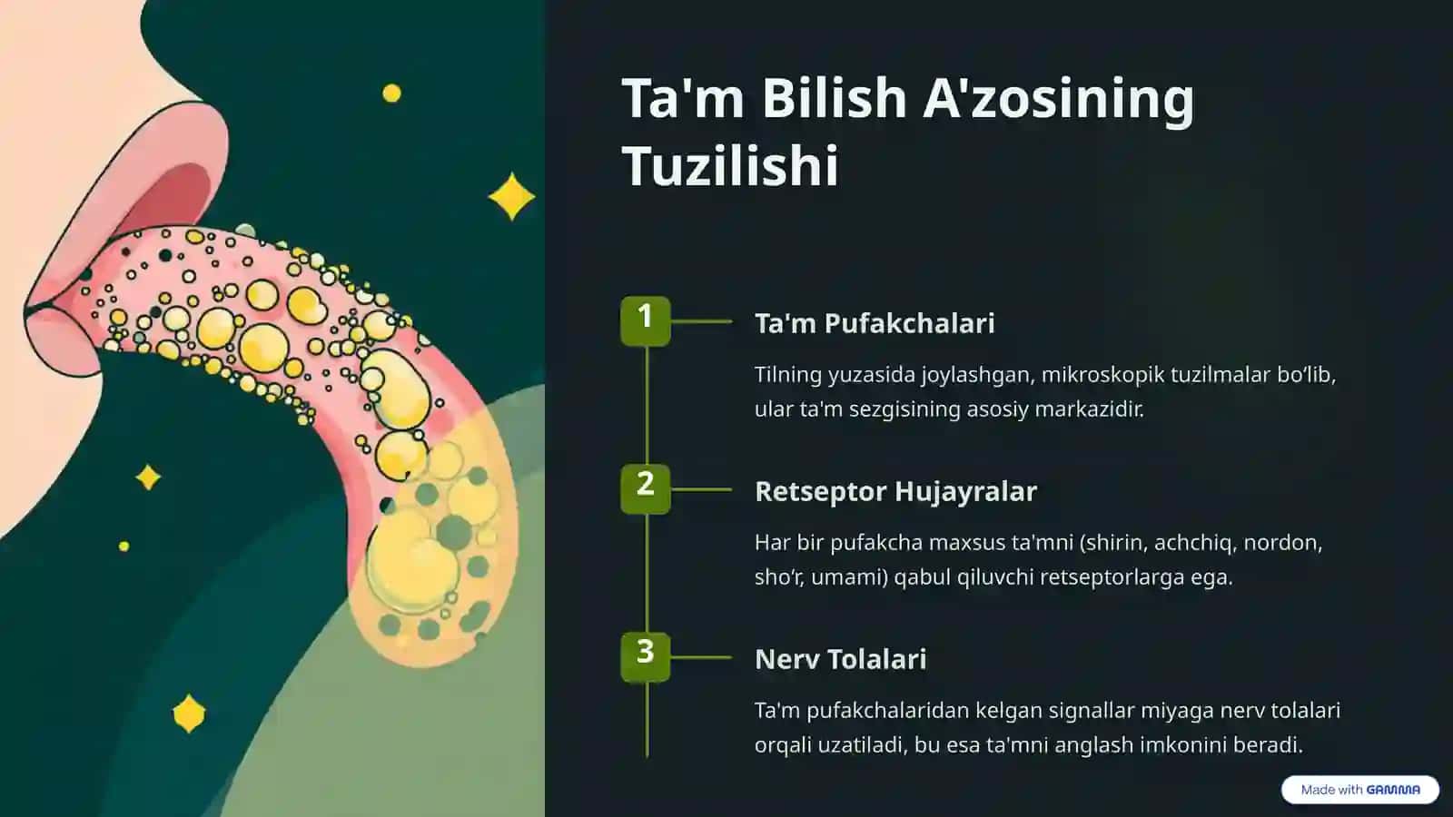 Ta'm Bilish A'zosi: Insonning Ta'm Sezgisi Sirlarini O‘rganish 4