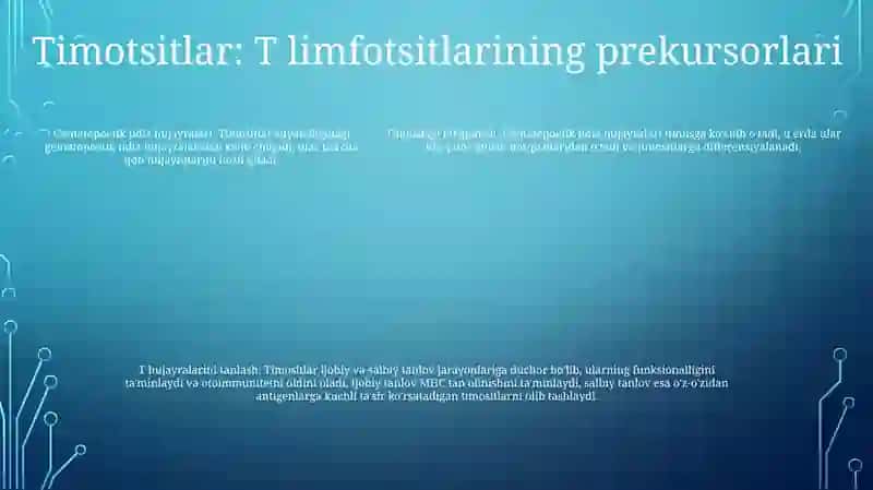 Timusdagi T Limfositlarning Yetilish Jarayoni 4