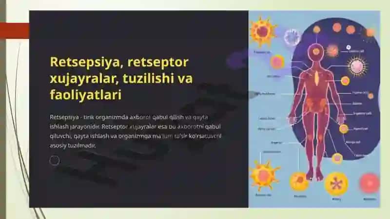 Retseptorlarda informatsiyalarni o‘zgartirishning biofizikaviy mexanizmlari va ta’m hamda hid bilish nazariyas 4