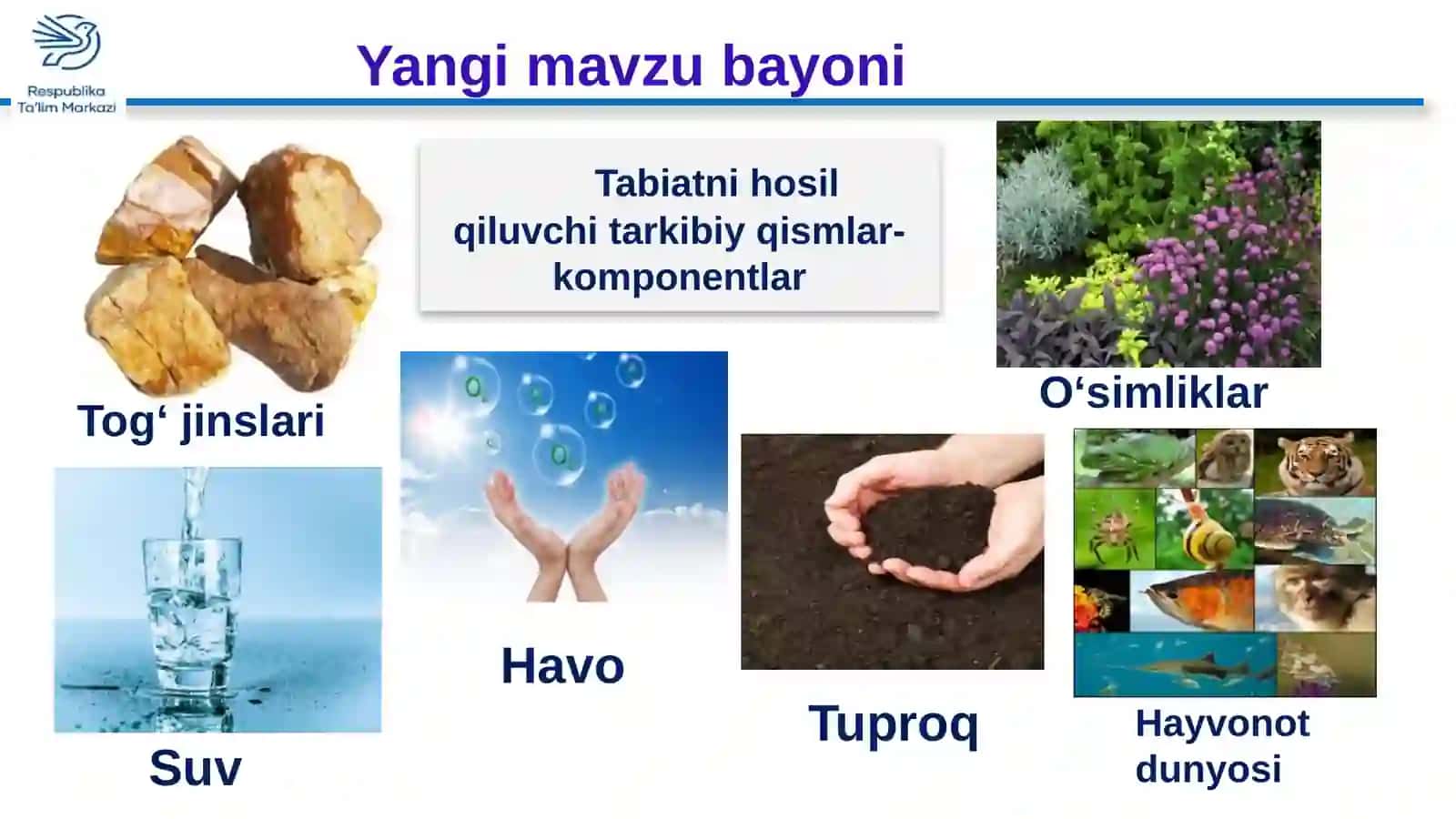 5-sinf Geografiya fanidan Tabiat zonalari dars taqdimoti 4