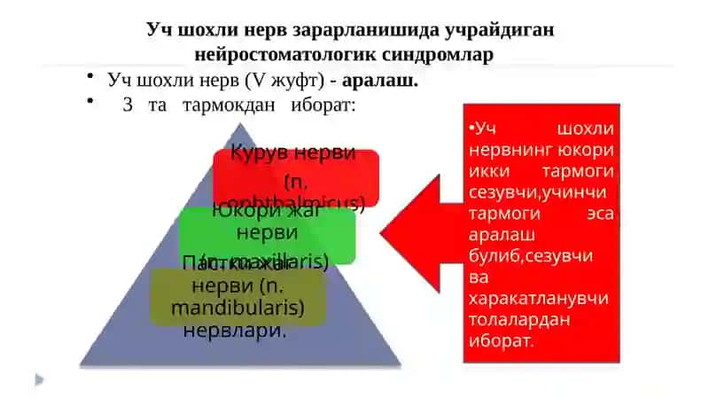 Юз-жағ соҳасининг неврологик бузилишлари ва оғриқлар 4