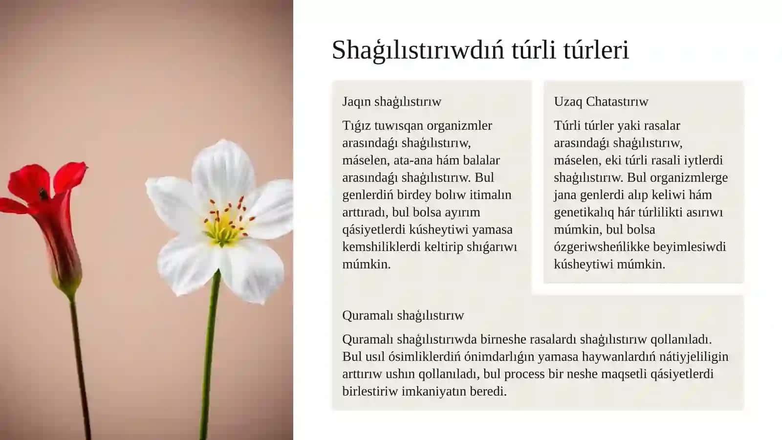 Selekciya jumıslarında shaģılıstırıw hám gibridlerdiń roli 4