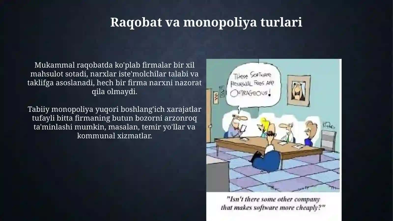 Raqobat va Monopoliya: Ta'riflar va Turlari 4