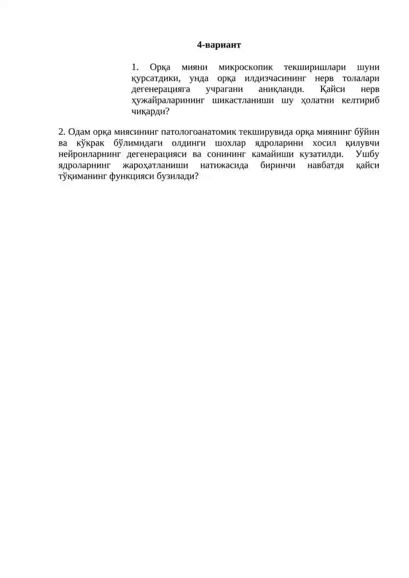 Орқа миянинг орқа илдизчаси 4