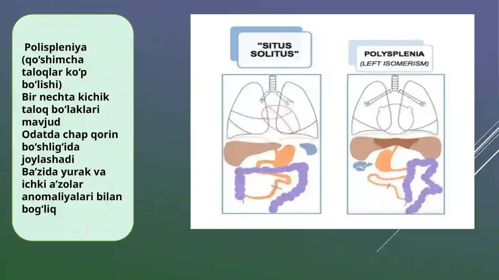 PATALOGIK ANATOMIYAfanidantayyorlaganmustaqilishi 4