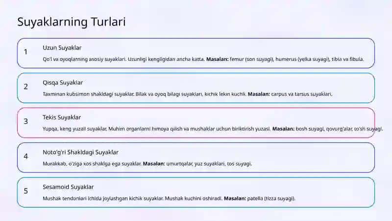 Osteologiya: Suyaklarning Umumiy Tuzilishi 4