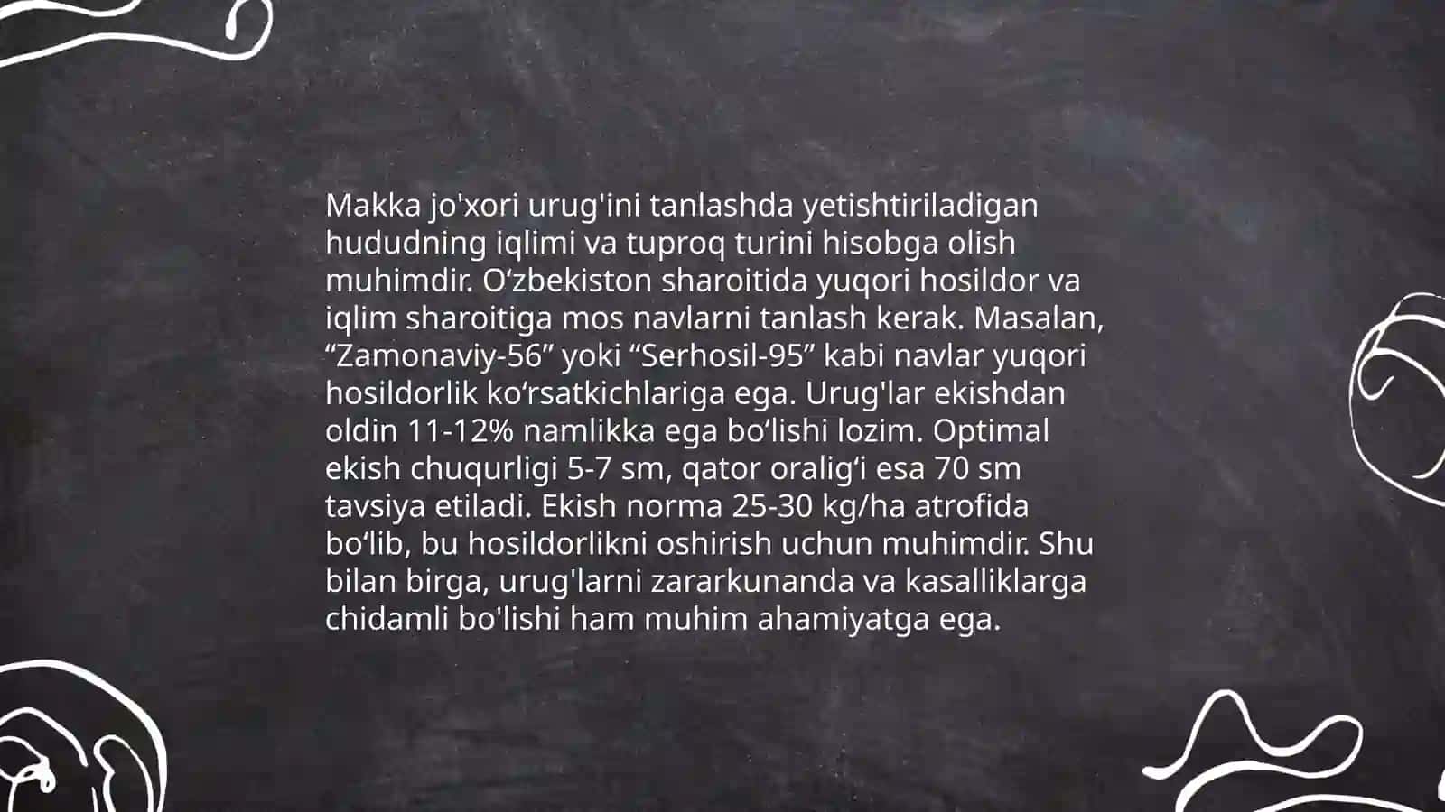 Makkajohori va tariq ekinlari 4