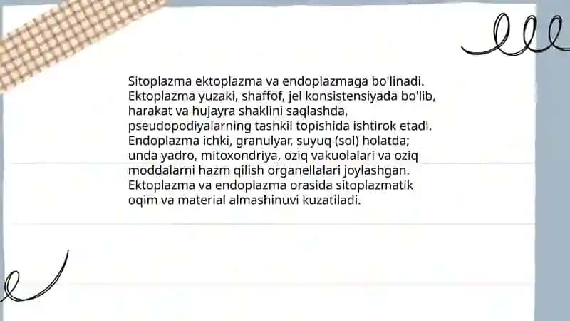 Sarkomastigoforalar tipi tuzilishi 4