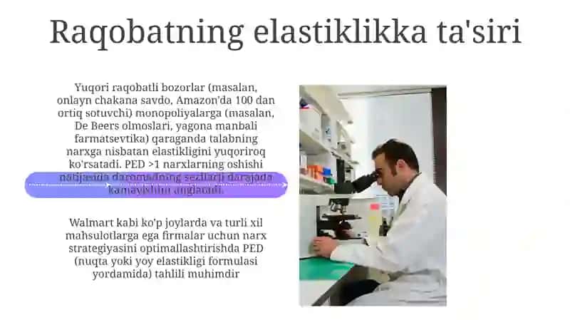 Birlik Elastikligi va Daromad 4