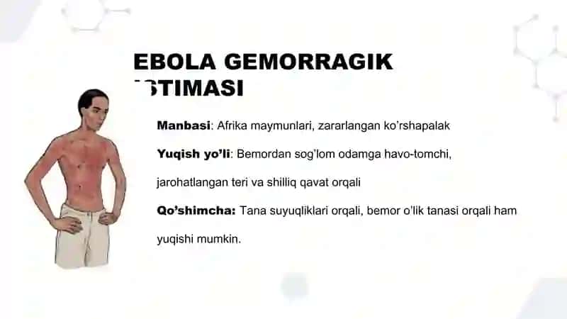 EBOLA, LASSA, ZIKA viruslari, patogenezi، diganostikasi 4