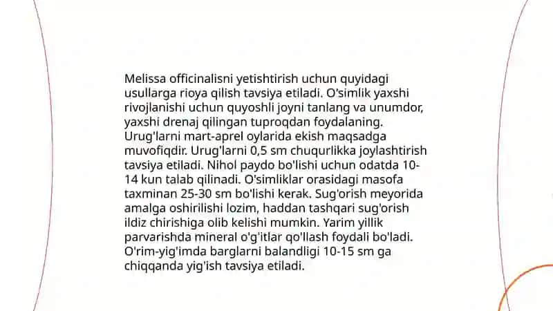 Melissa officinalisning shifobaxsh xususiyatlari 4