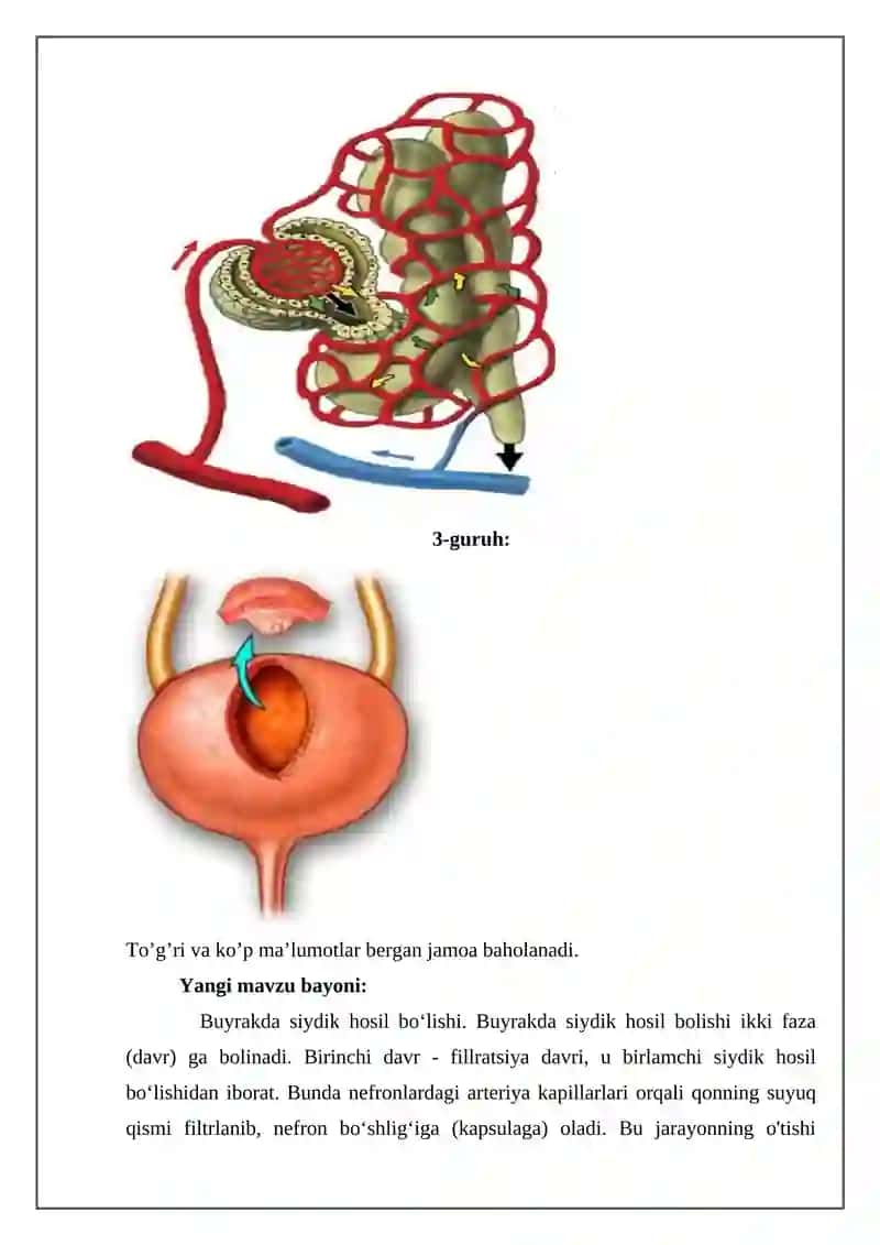 BIOLOGIYA O’QITISH METODIKASI BO’YICHA TAYYORLAGAN DARS ISHLANMASI 4
