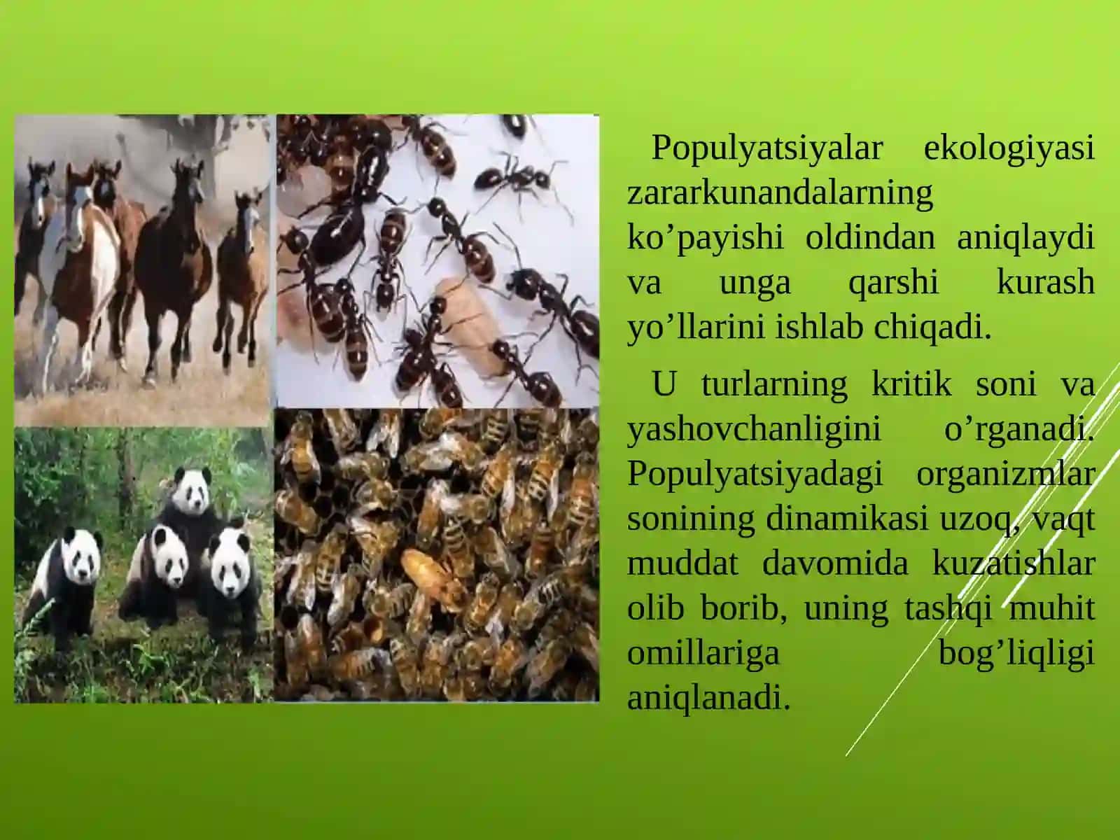 PopulyatsiyaTur Biotsenoz tushunchasi 4