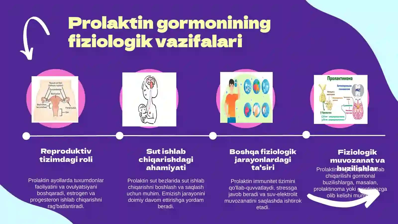 Prolaktin gormoni 4