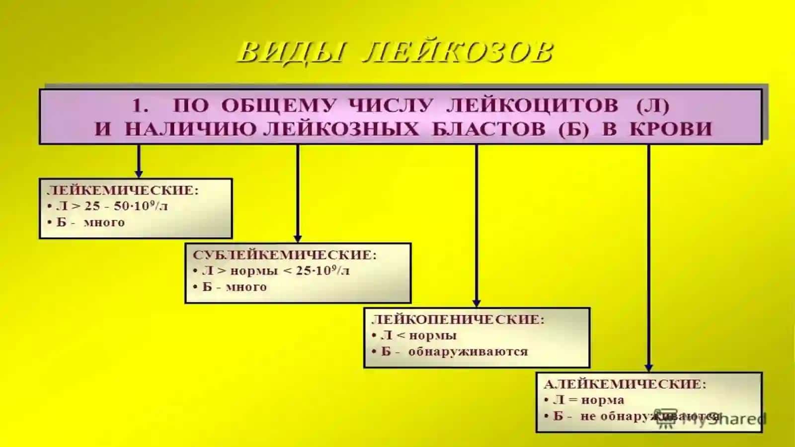 Leykemiya(leykoz) yoki oqqon kasalligi - qon hujayralarining saratoni 4
