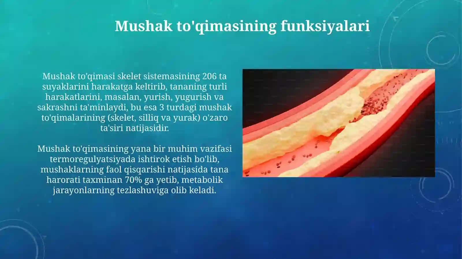 Suyak to’qimasi va muskul to’qimasi 4