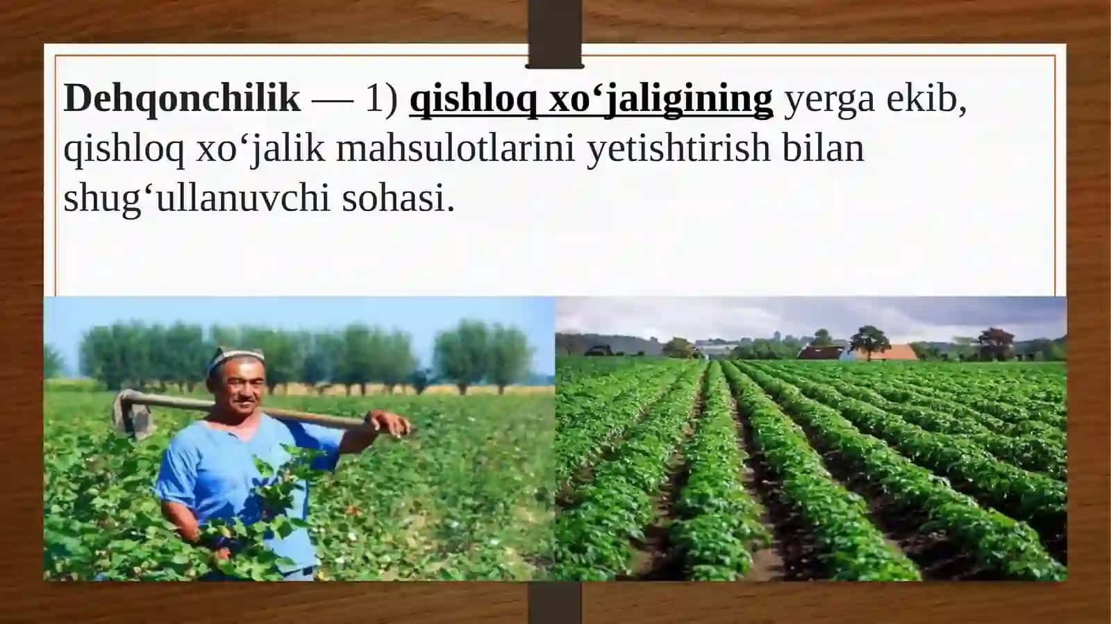 Qishloq xo’jaligi 4
