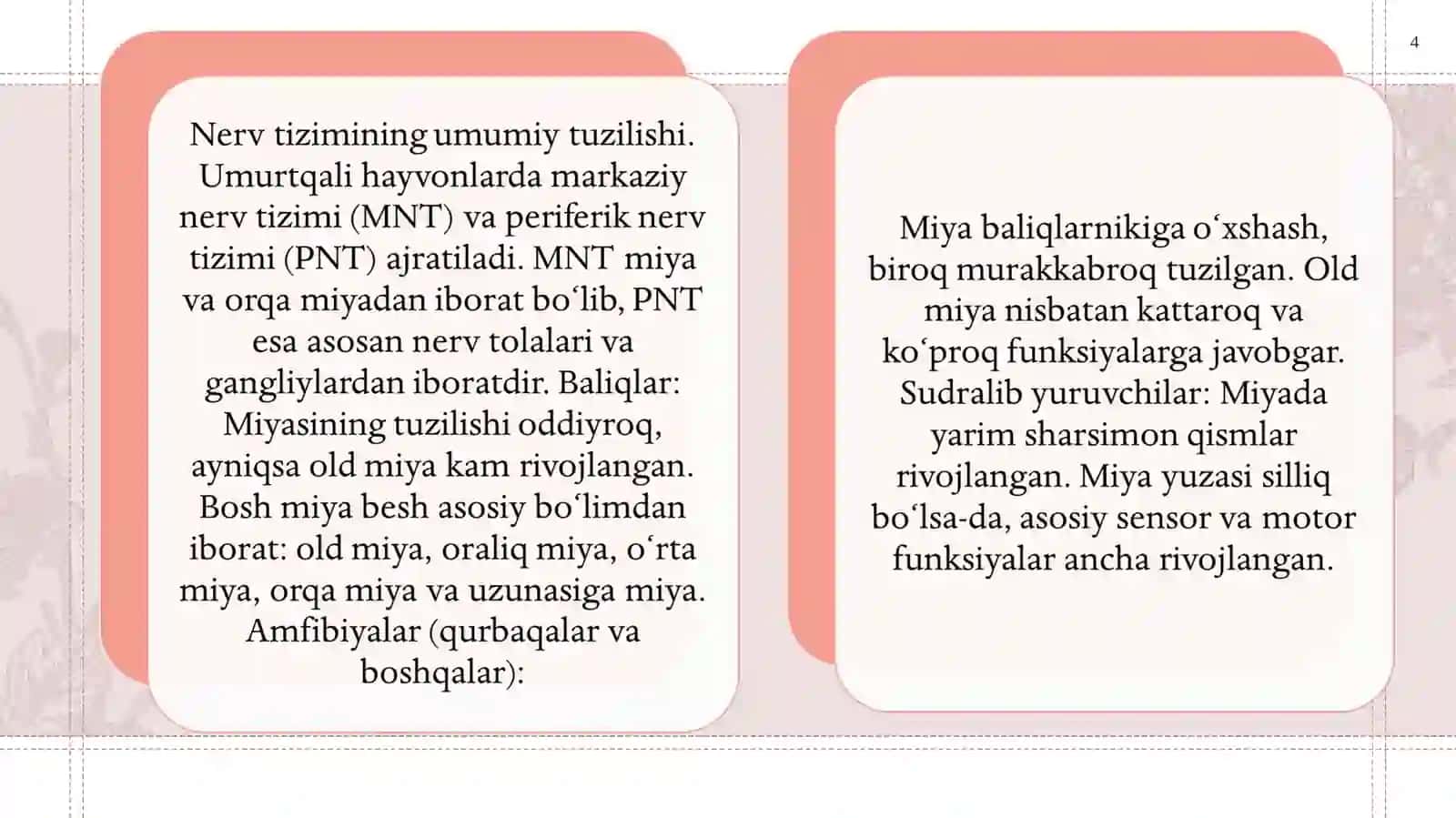 Umurtqalilar markaziy nerv sistemasini tuzilishi va vazifasi. 4
