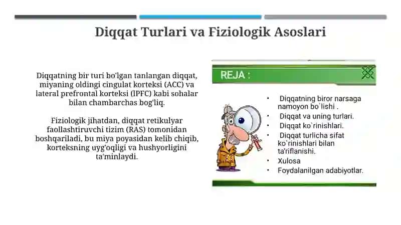 Diqqat haqida tushuncha 4