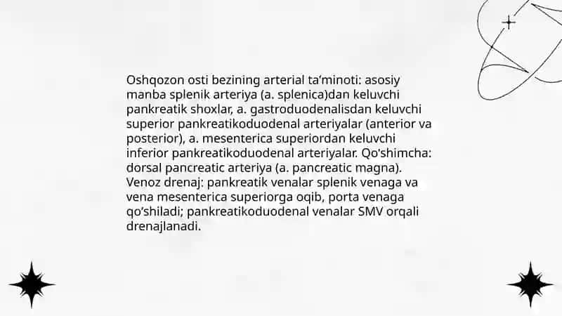 Oshqozon osti bezi anatomiyasi 4