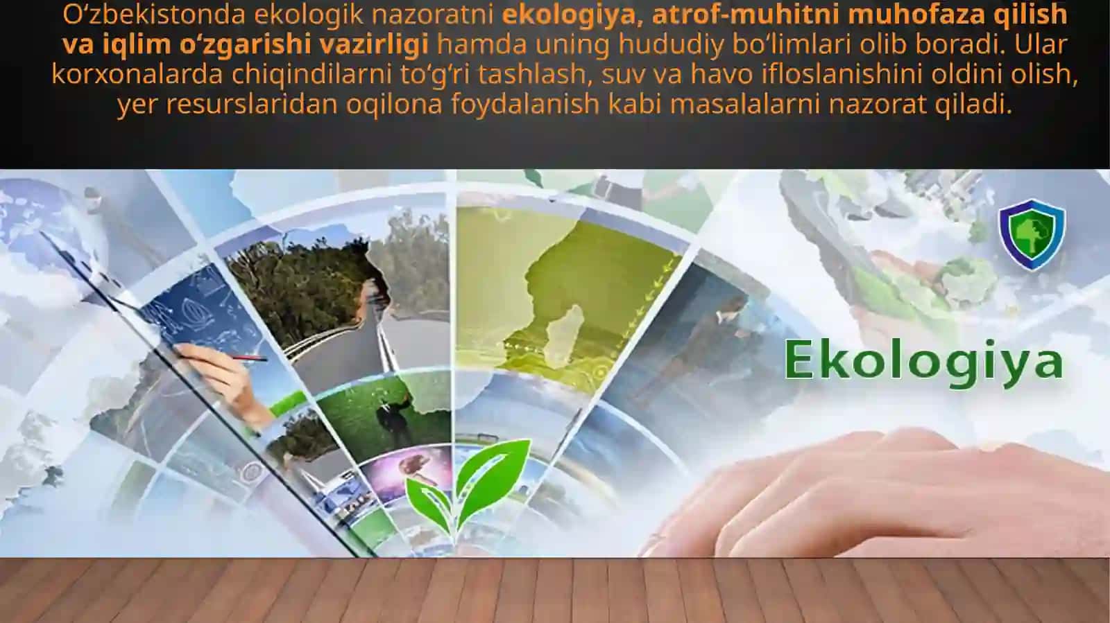 Ekologik nazorat, ekologik monitoring va ekologik ekspertiza 4