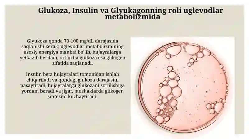 Uglevodlar almashinuvi boshqarilishining buzilishlari 4
