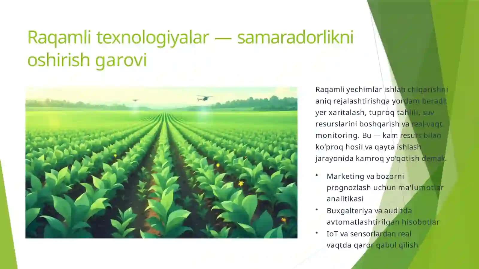 Sanoatlashgan rayonlarda ekologik bilimlarni shakllantirish 4
