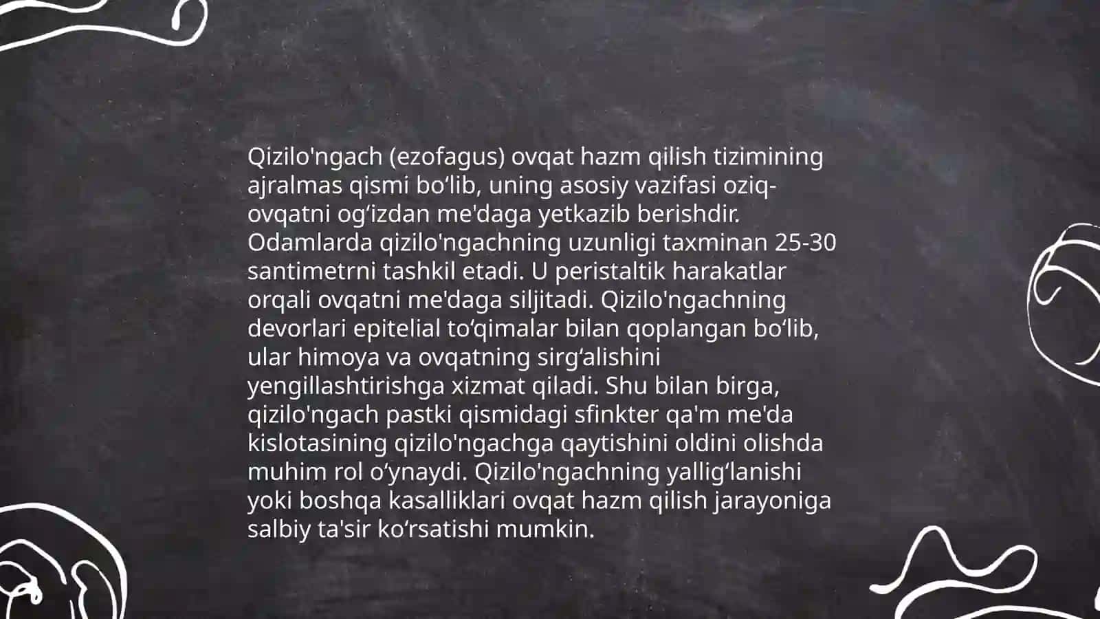 Qizilo'ngach 4