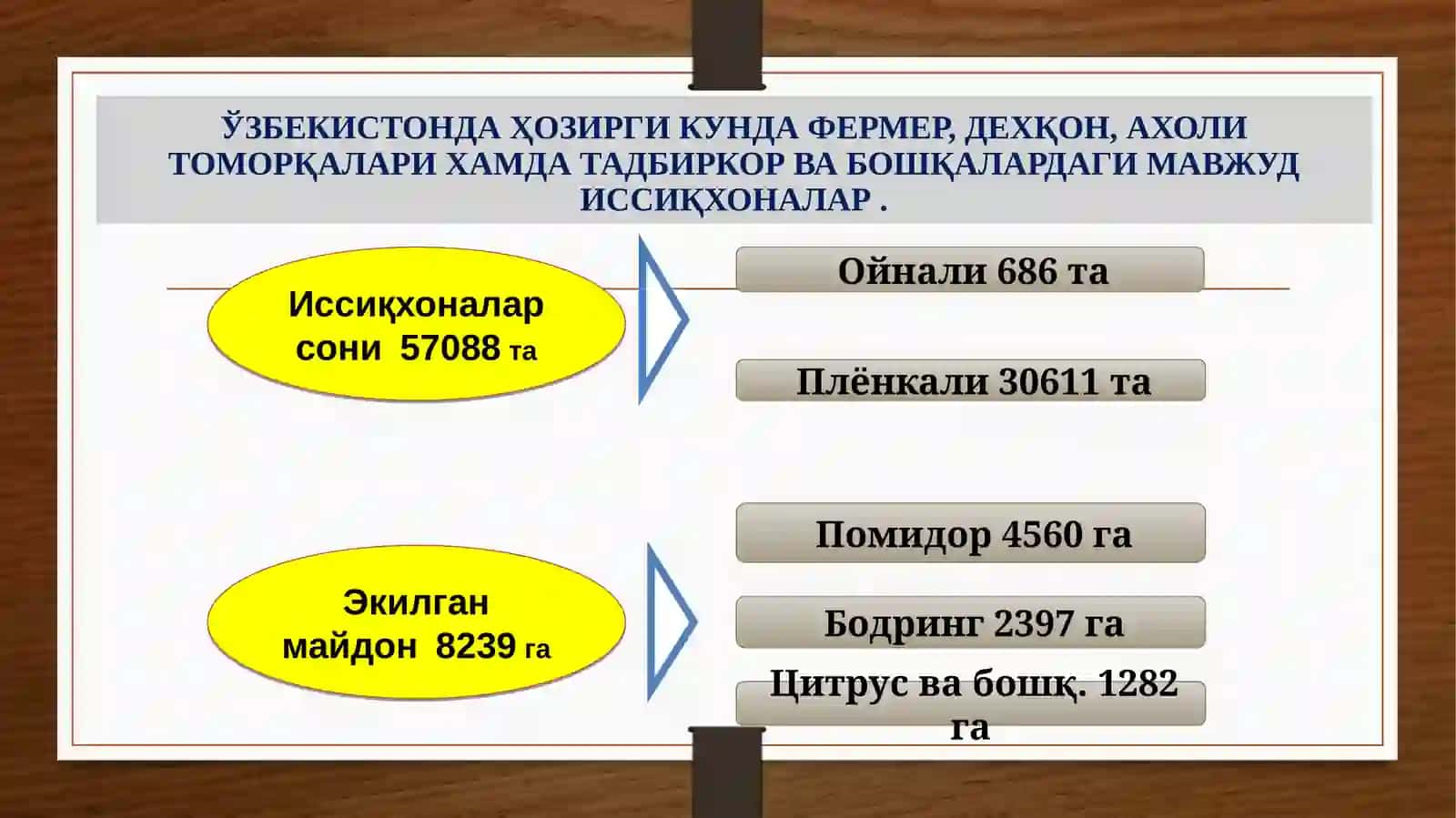 Мева-сабзавотчилик, узумчилик, иссиқхона хўжалиги 4