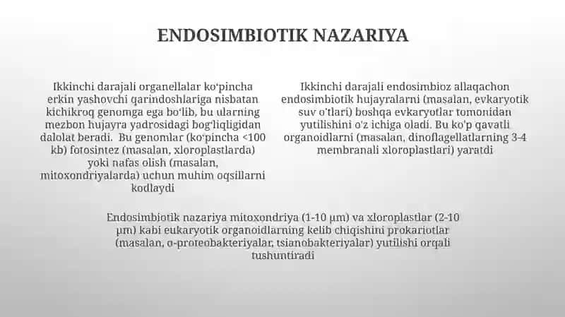 Hujayraning kelib chiqishi ikkilamchi boʻlgan organoidlari 4