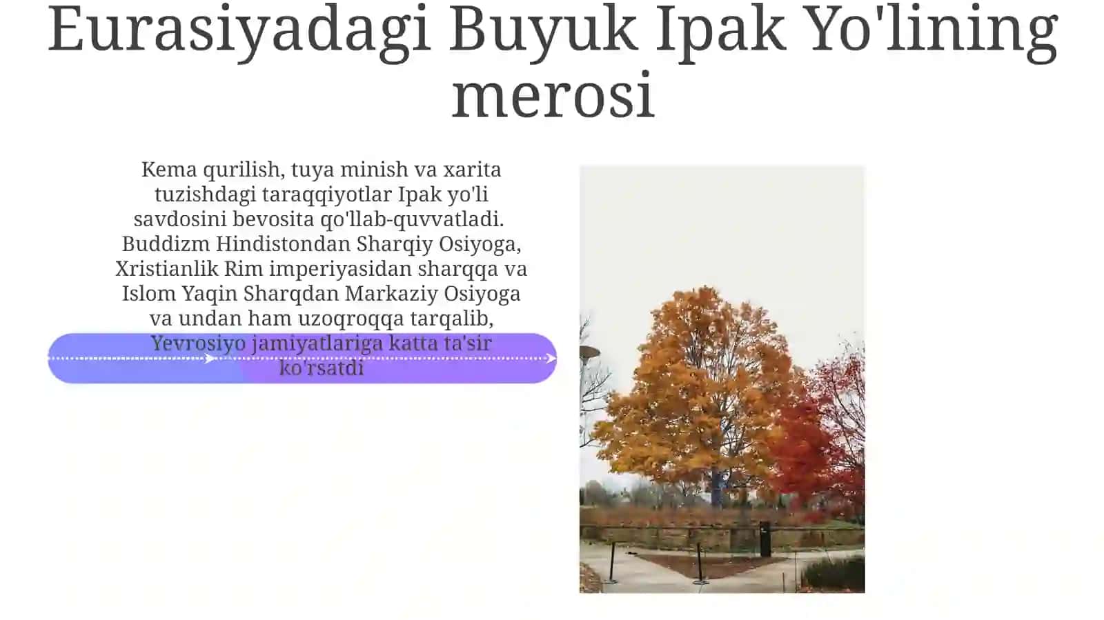 Buyukipakyólivauninginsoniyattarixidagiórni 4
