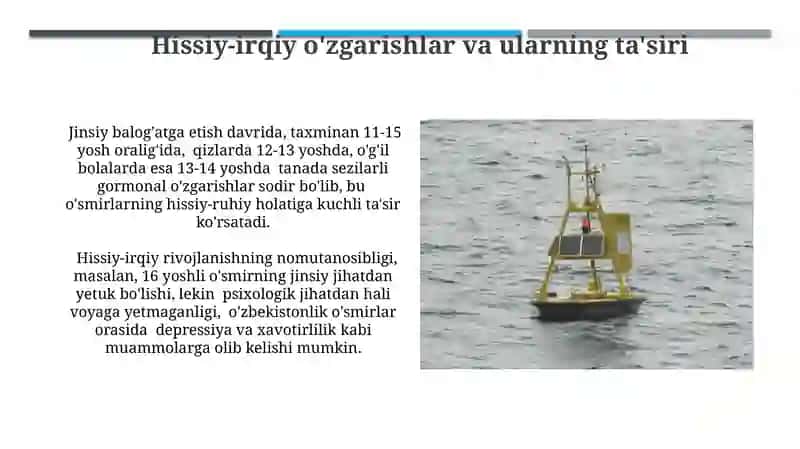 O'smirlik davridagi psixologik muammolar 4