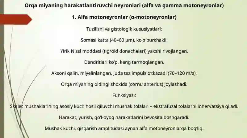 Orqa miyaning harakatlantiruvchi neyronlarning turlari, ularning morfo - funksional xususiyatlari. Bosh miya yarim sharlari po'stlog'ining morfogenezi. Bosh miya yarim sharlar po'stlog'ida hujayralararo bog'lanishlar. 4