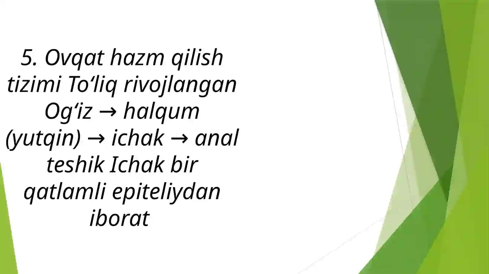 To‘garak chuvalchanglarning tana tuzilishi 4