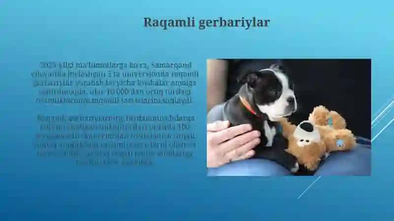 Gerbariy tayyorlash va tayyorlash usullari haqida ma'lumot berish 4