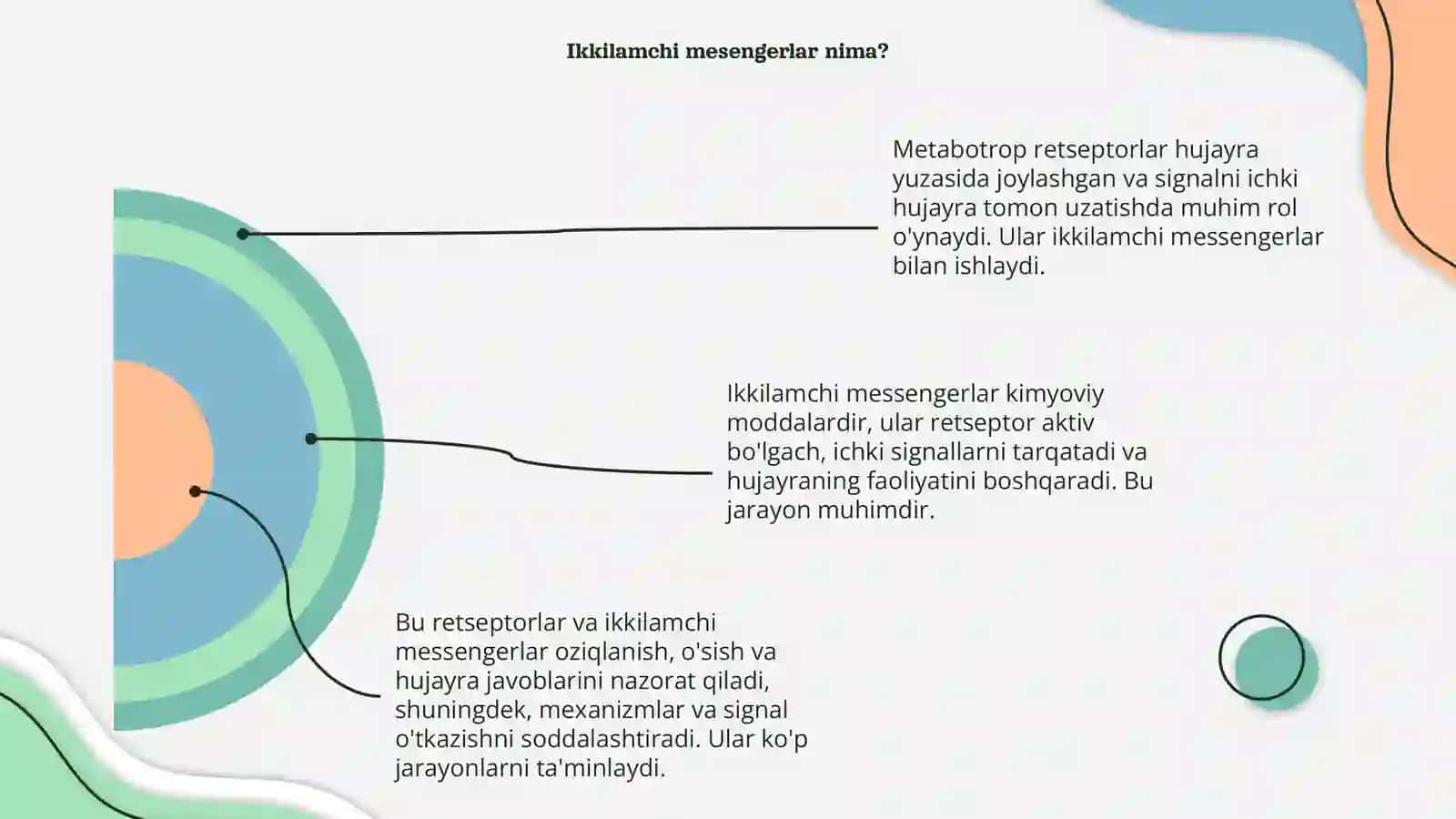 Metabotrop retseptorlar.Ikkilamchi mesengerlar 4