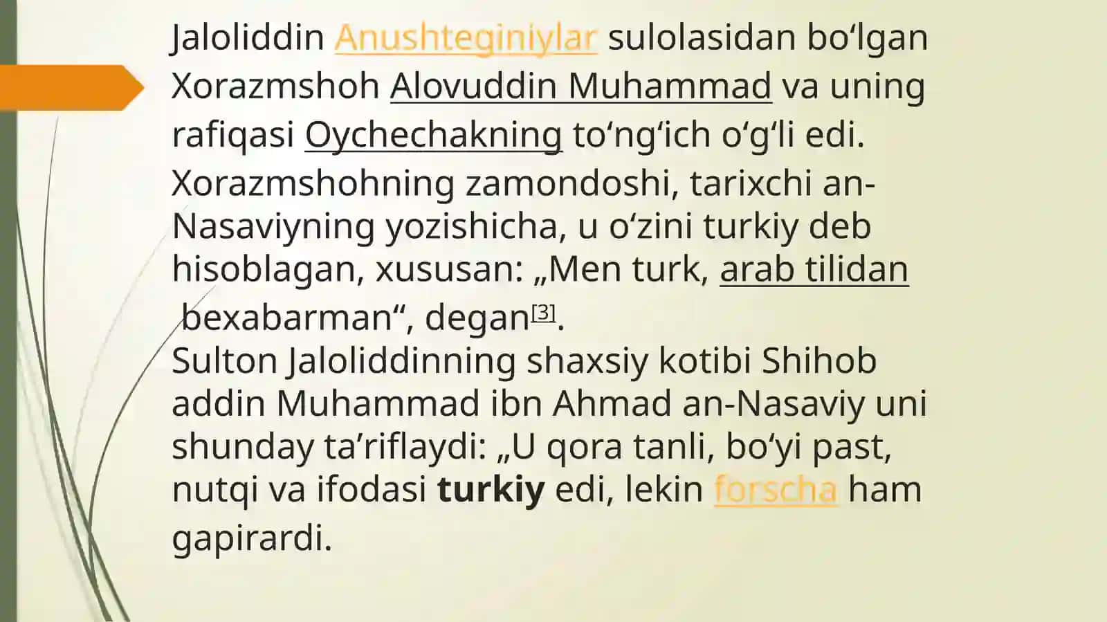 Jaloliddin Manguberdi-Vatan himoyachisi 4