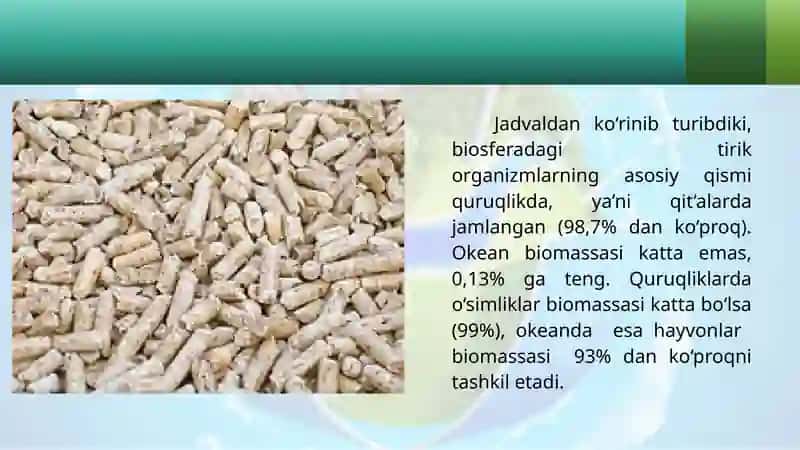 Biosfera biomassasi 4