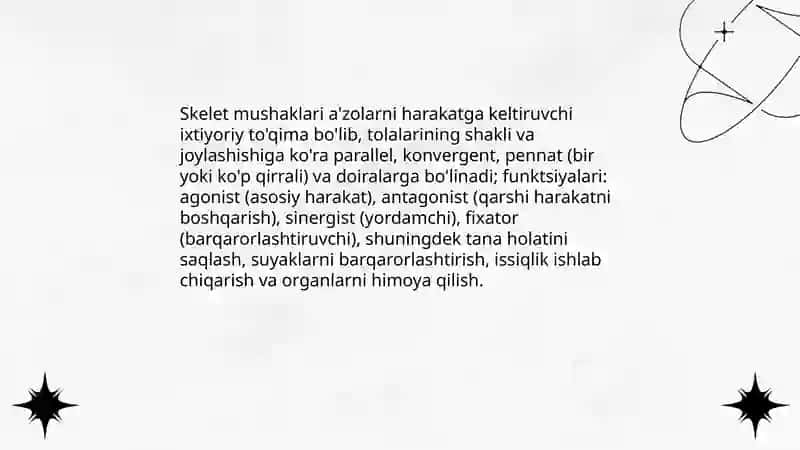 Muskullar sistemasi 4