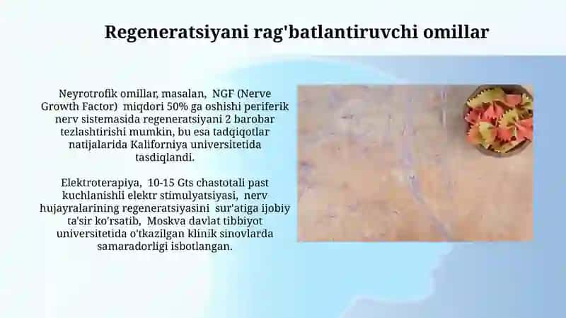 Nerv toalasing regertatsiyasi va degeratsiyasi 4