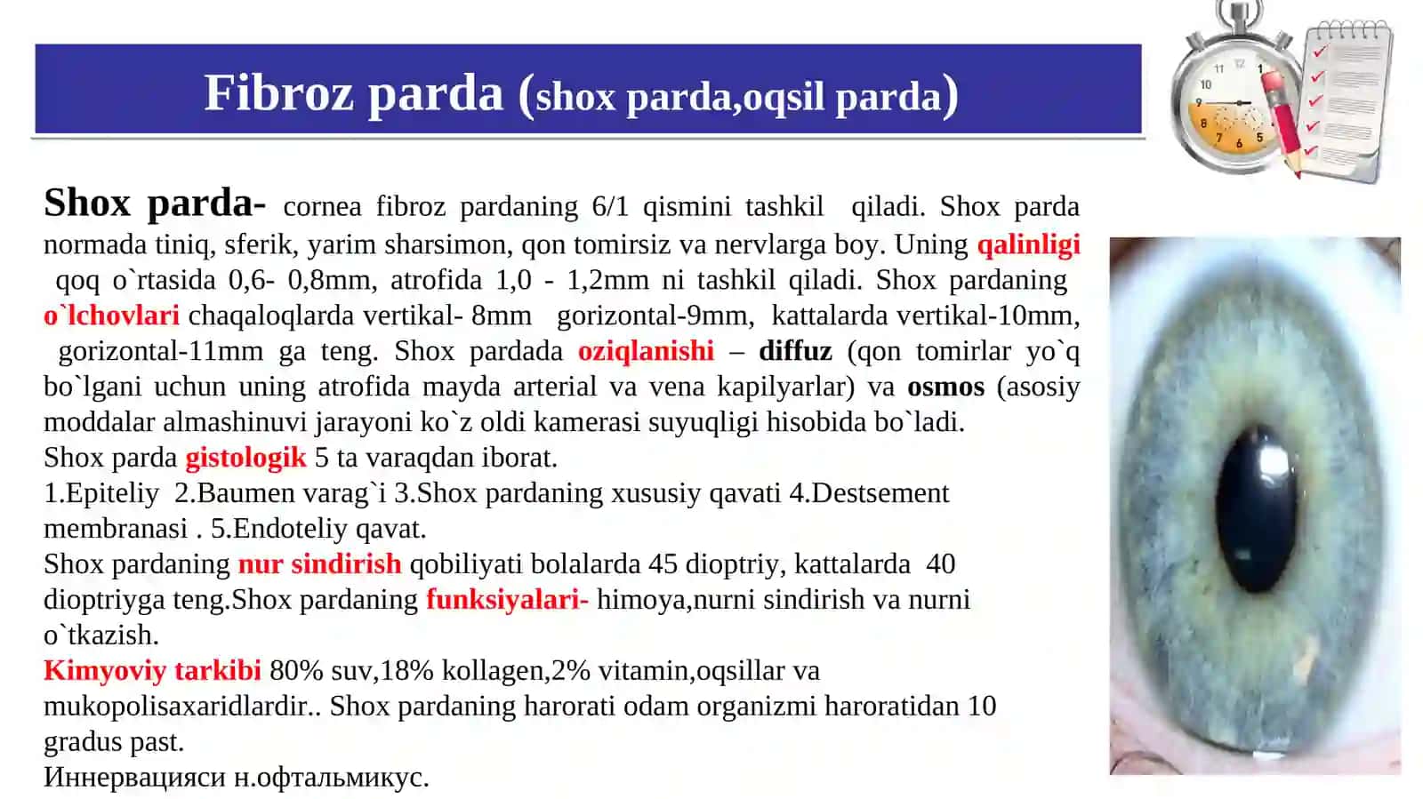 КO`RUV A`ZOLARININGКLINIKАNATOMIYASI VA FIZIOLOGIYASI.KO`ZNING FUNKSIYALARI 4