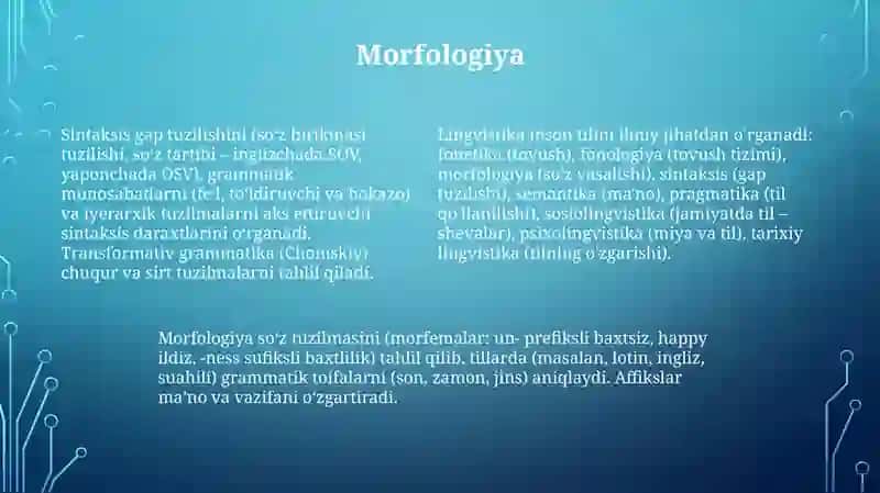 Grammatika-til strukturasini o'rganish 4