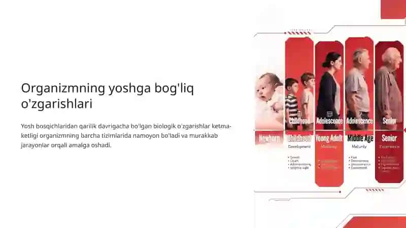 Organizmdagi Keksayish Davriga Xos O'zgarishlar 4