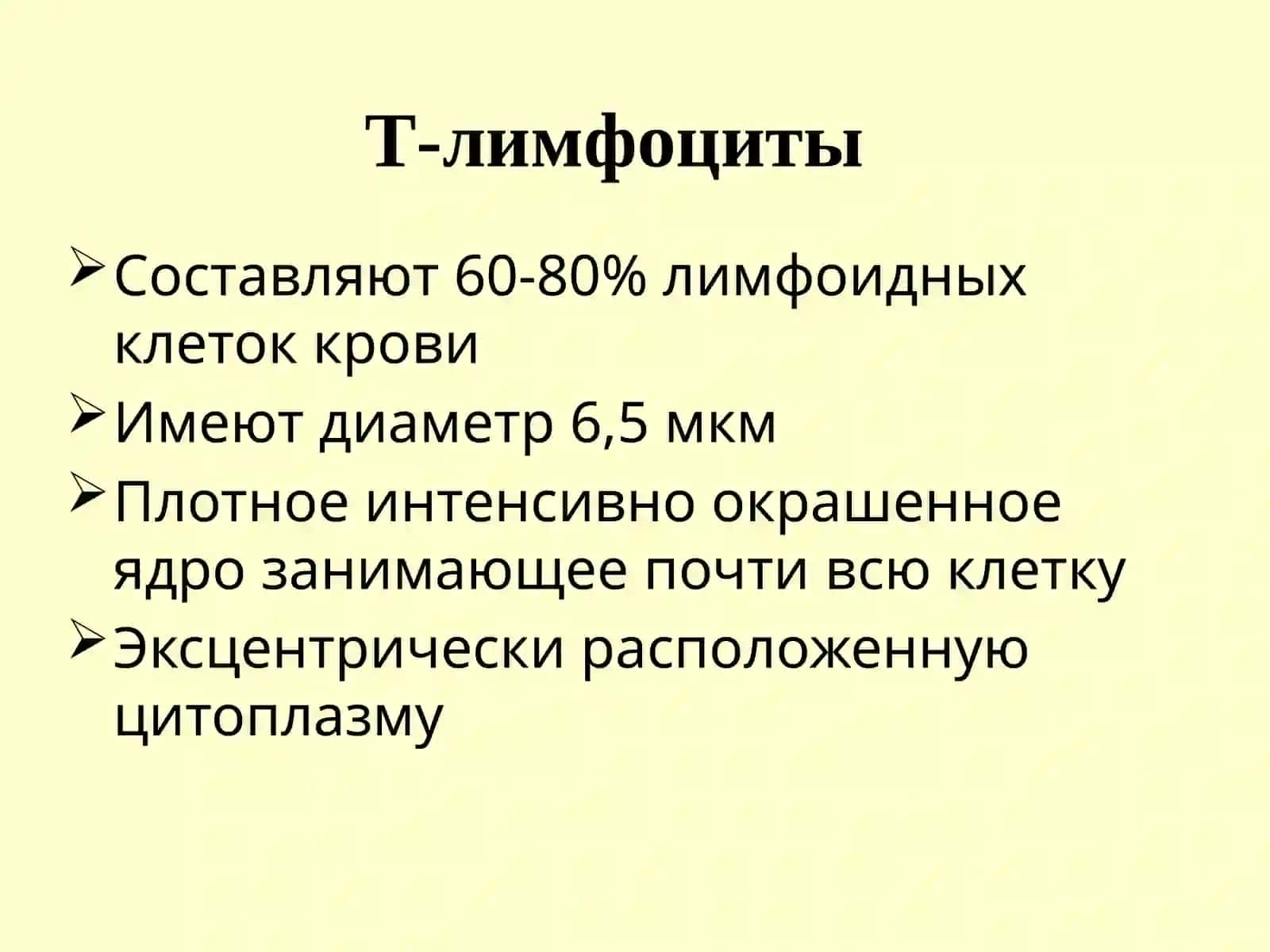 Т-лимфоциты 4
