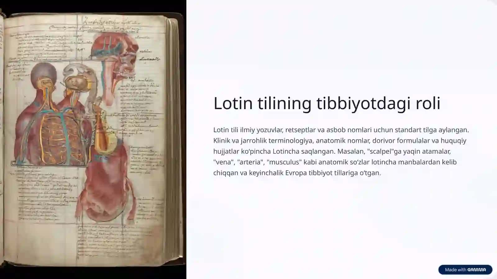 Lotin tili: Antik davrda tibbiyot texnologiyalari 4